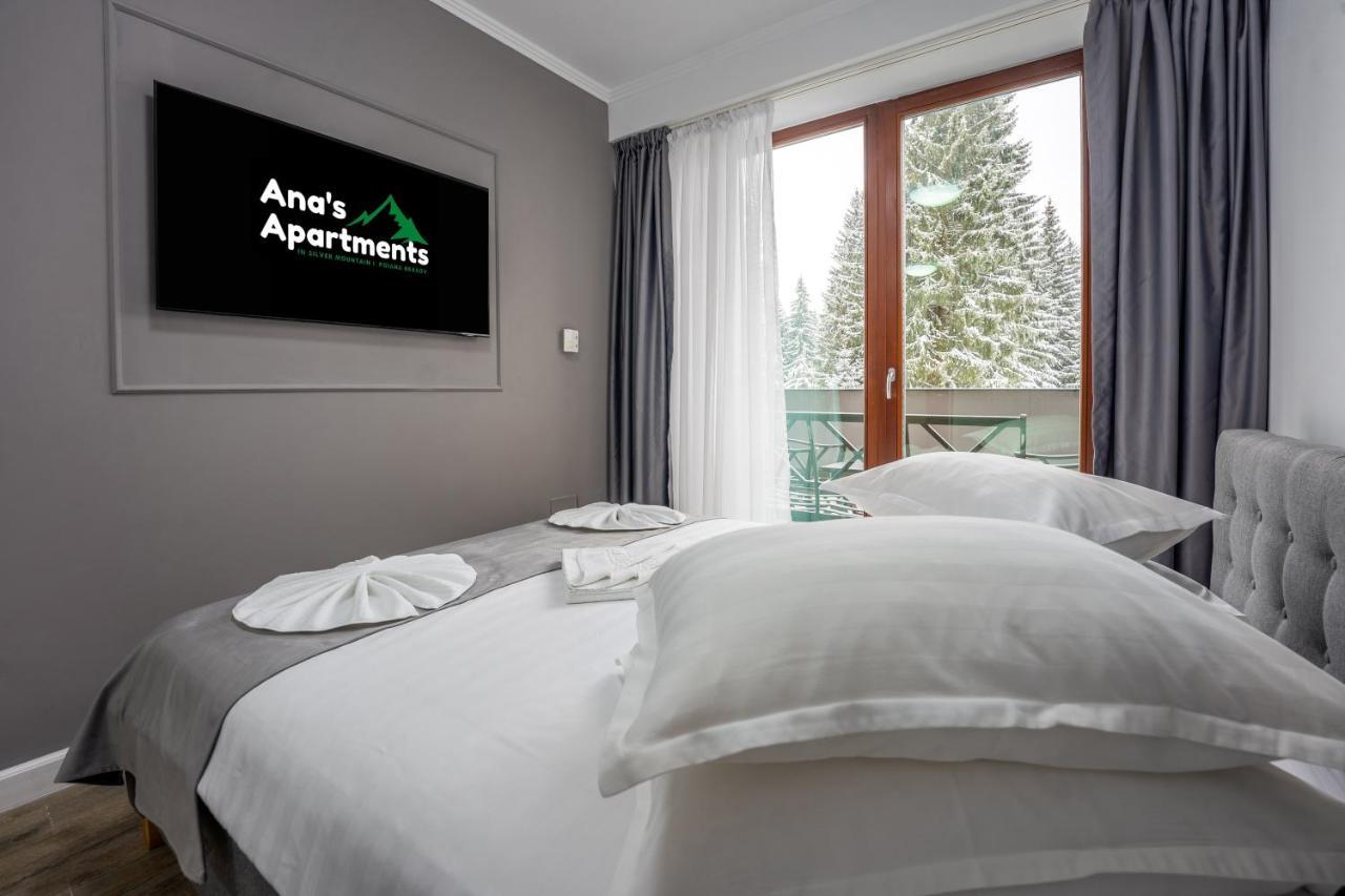 Silver Mountain - Ana'S Apartments Poiana Brašov Exteriér fotografie